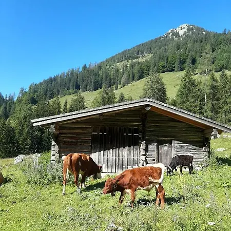 Apartment Gaestehaus Kurz *