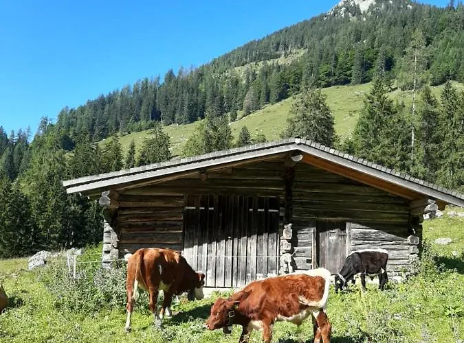 Daire Gaestehaus Kurz *