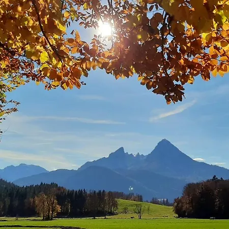 Apartament Gaestehaus Kurz